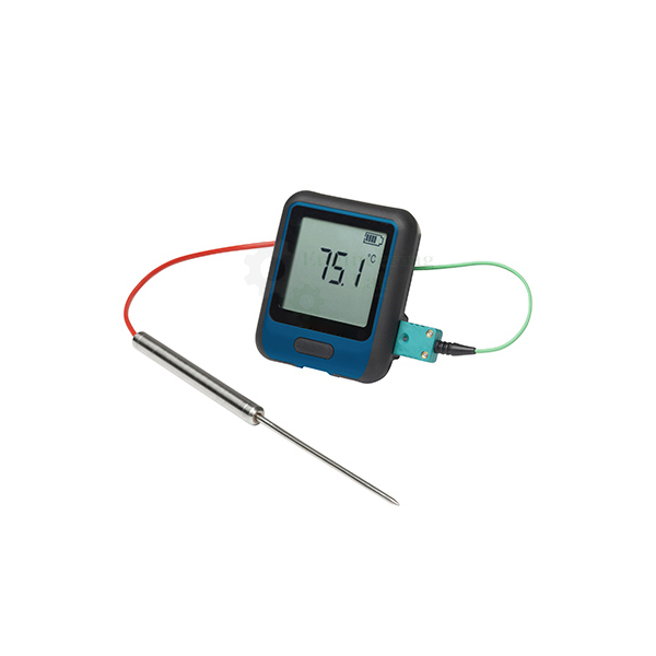 Electronic Thermometer