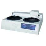 Double Disc Polishing Machine