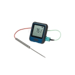 Electronic Thermometer